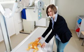 NOWE_METODY_ksztalcenie-technikow-radiologii