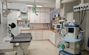 opm-dlaszpitali-nis2