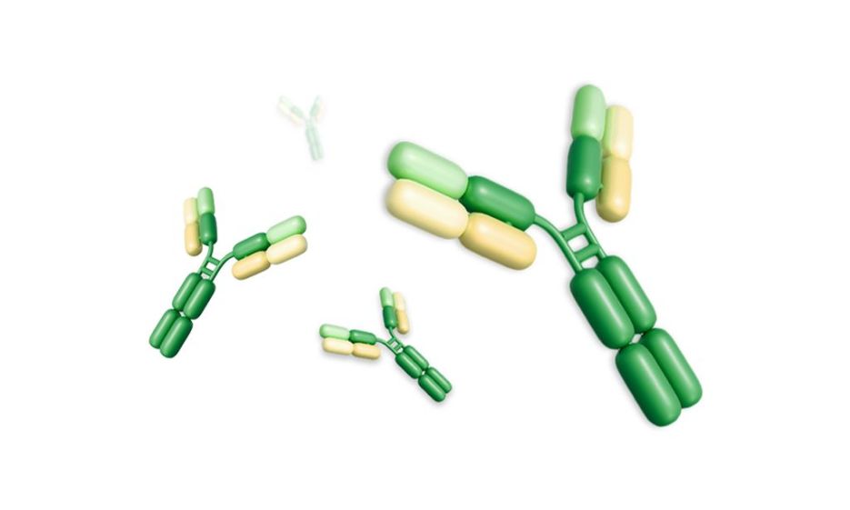 opm-dlaszpitali-postępy-w-diagnostyce