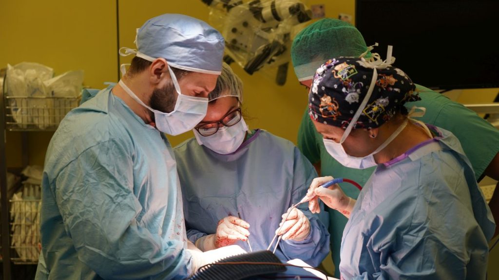 opm-dlaszpitali-głowy-i-szyi